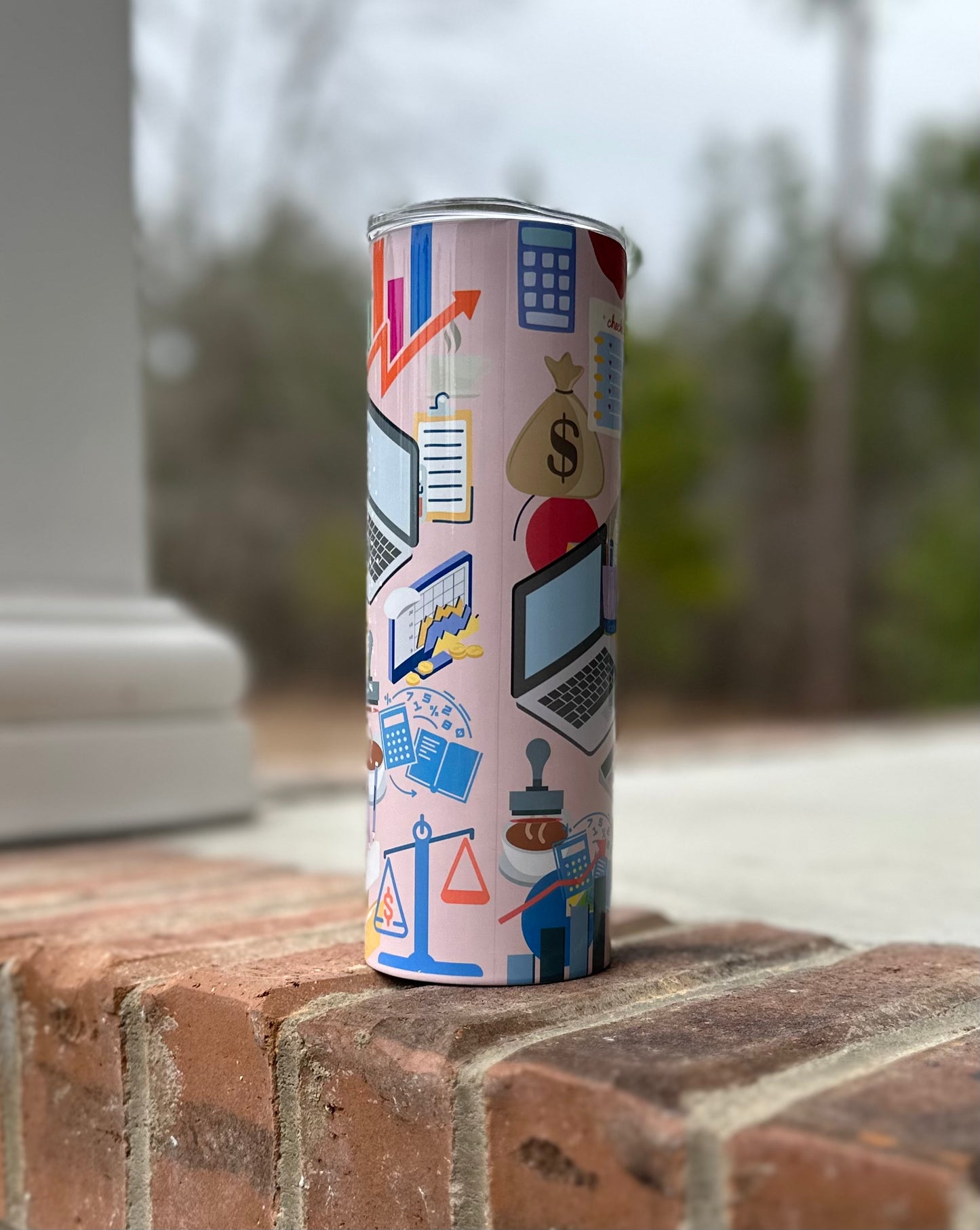 Accountant Life - 20oz Water Bottle/Tumbler Duo