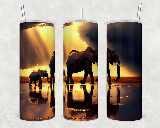 Sunset Elephant - 20oz Water Bottle/Tumbler Duo